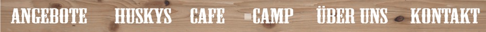 LinkLeisteCamp